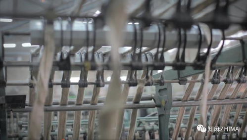 知訊005 紅海危機下的紡織業警鐘 亞麻紡紗廠面臨的挑戰與應對策略